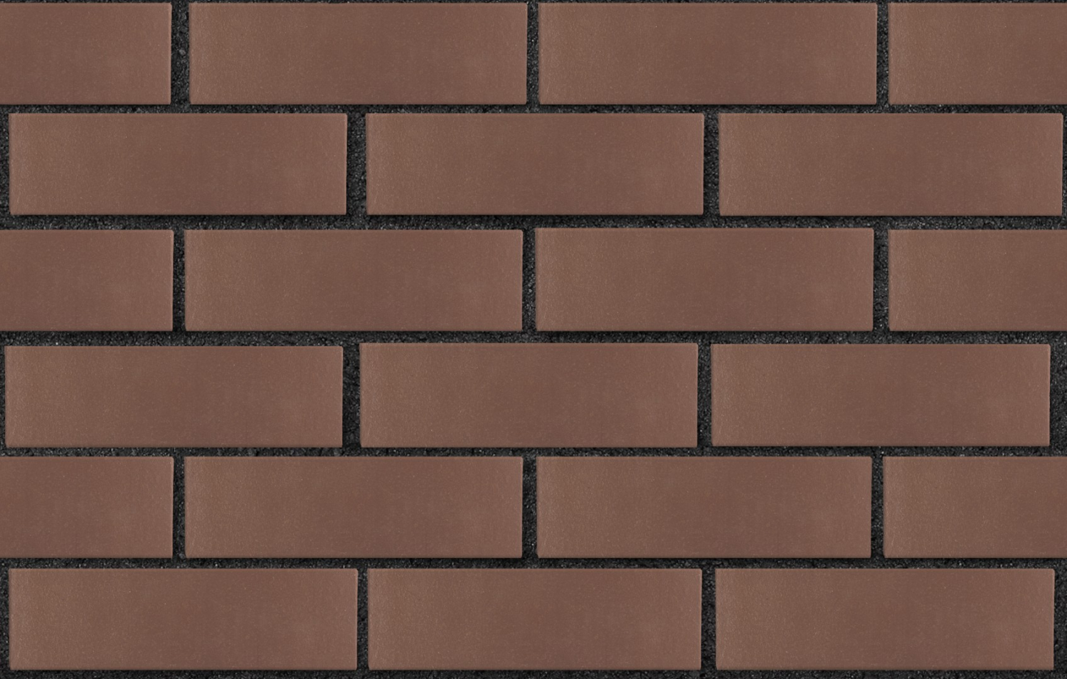 3-chernyj-temnkorich-glad