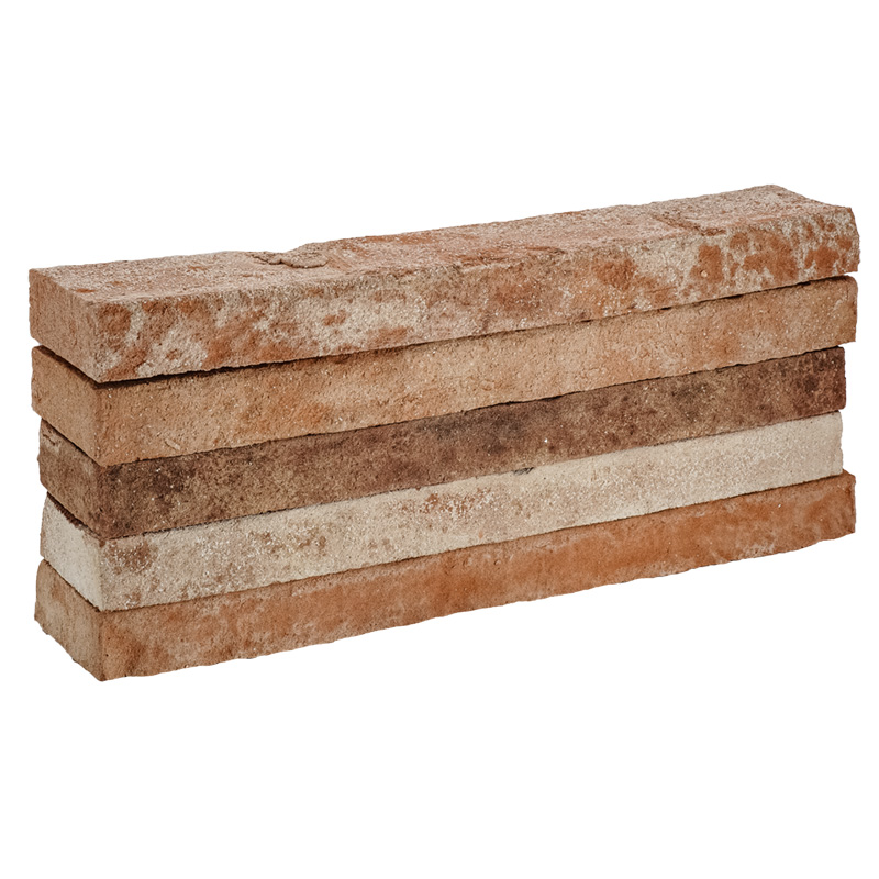 LS039-Ренардъ