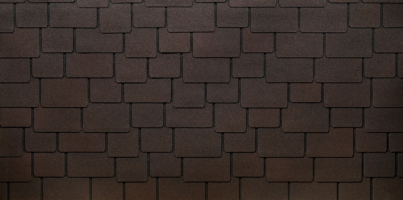 Саппоро_зрелый каштан