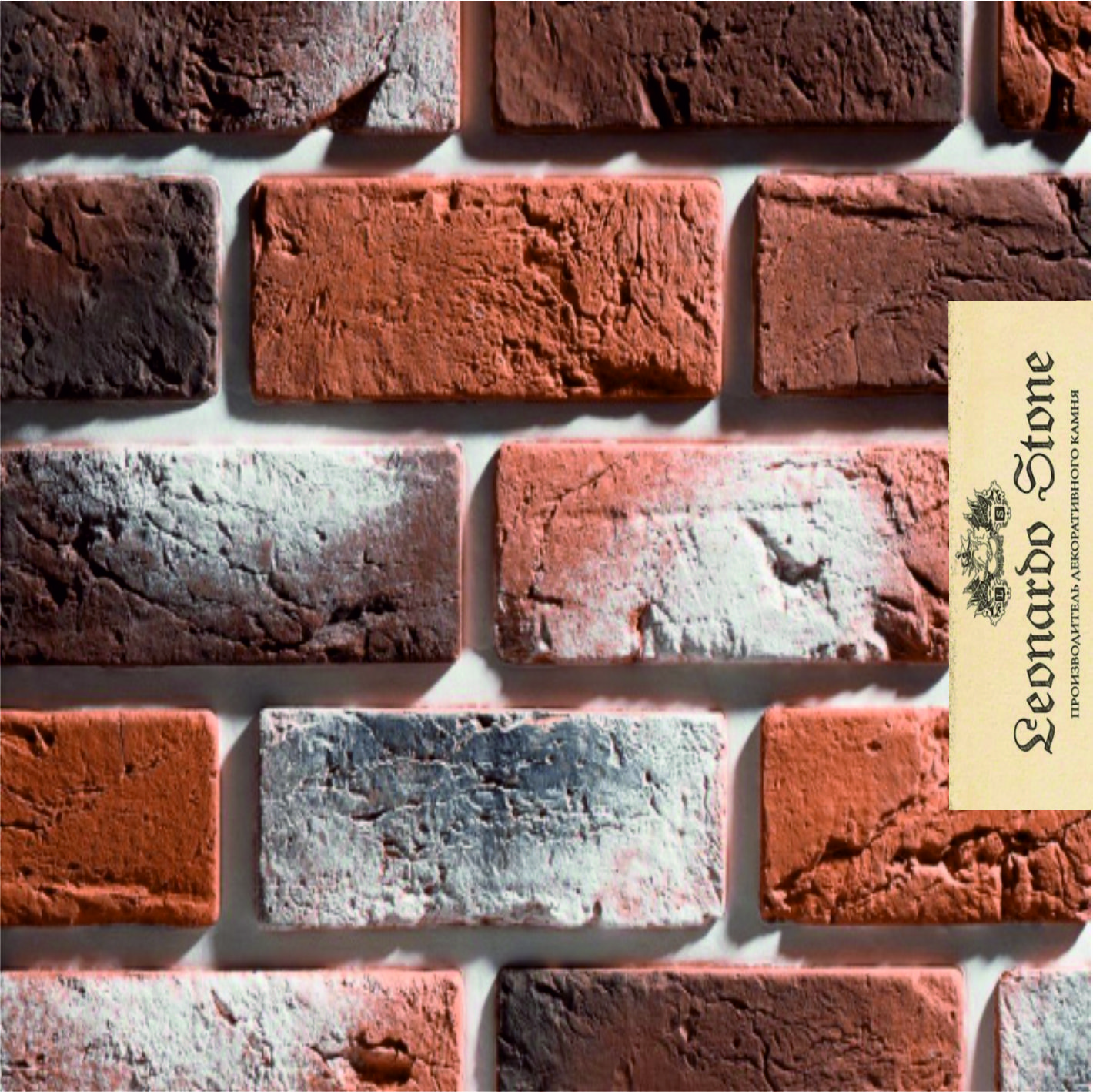 Безымянный-1