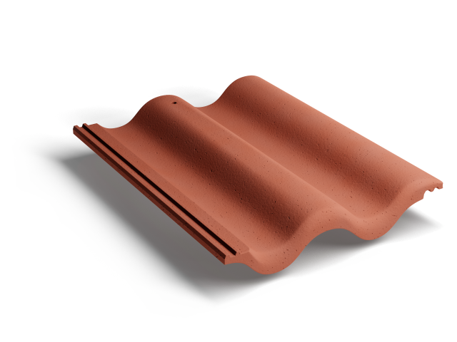 litekrasnyi71riadnaia