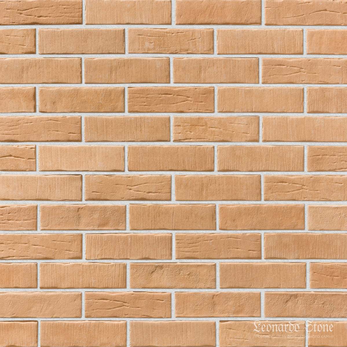 ab8ff9c6f999744b9a4d7063a57b3ffa