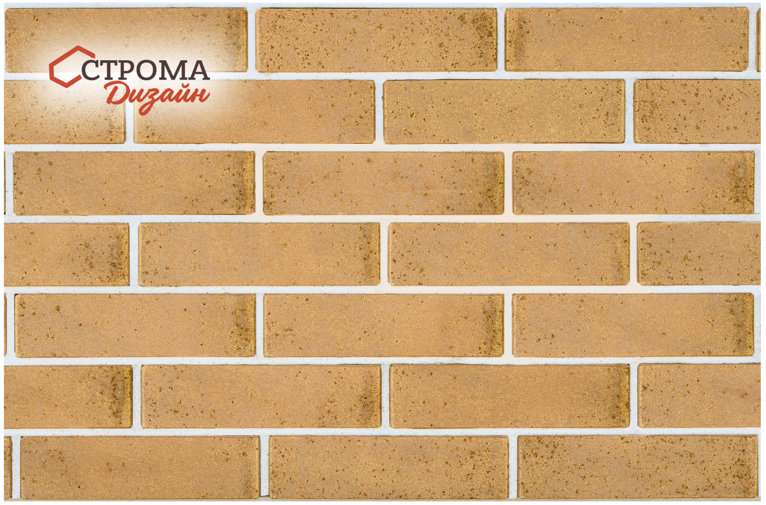 2350 х 1550 Кортес расшивка