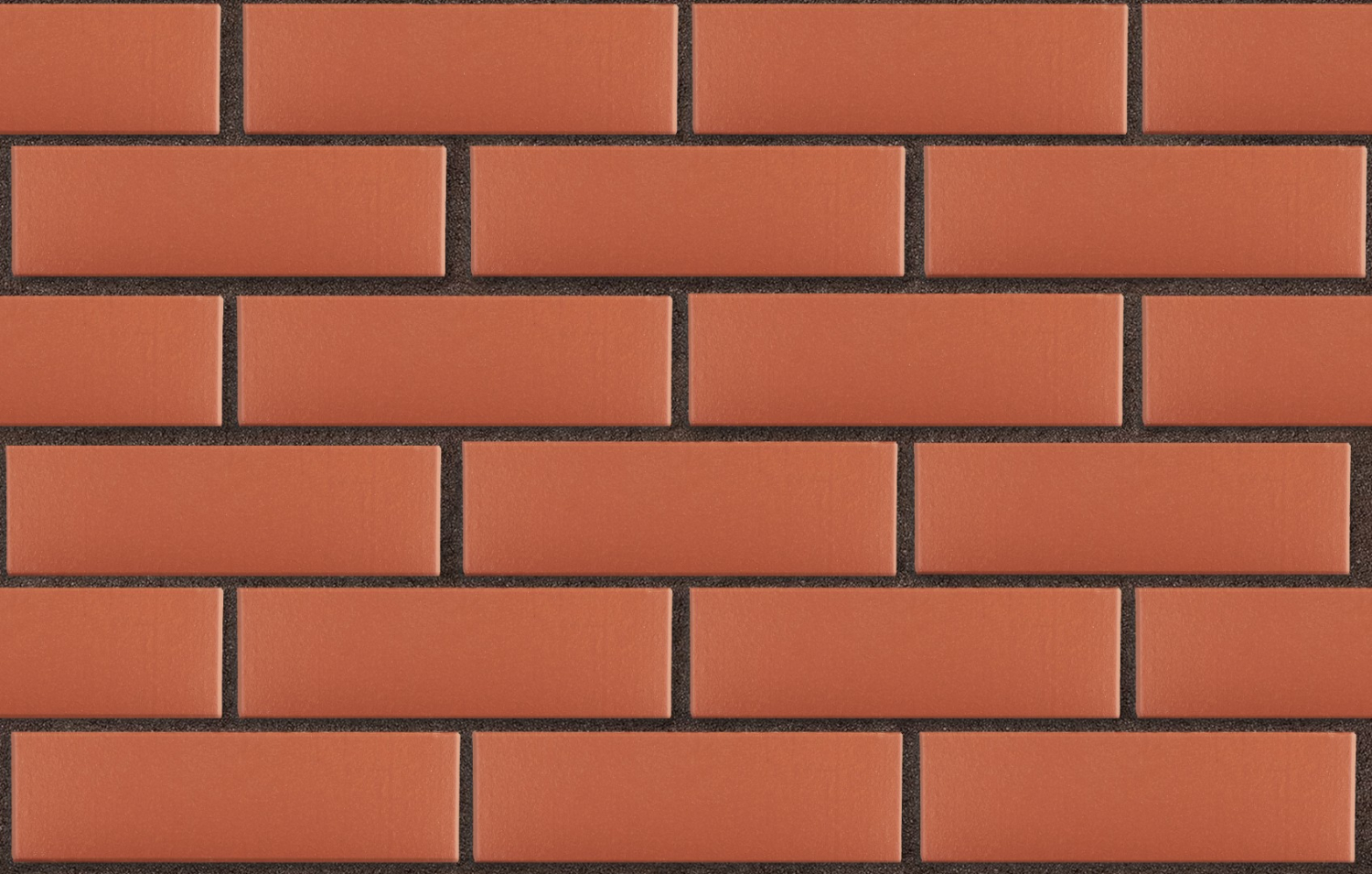 3-temnokorich-krasnyj-gladkij-pustotelyj