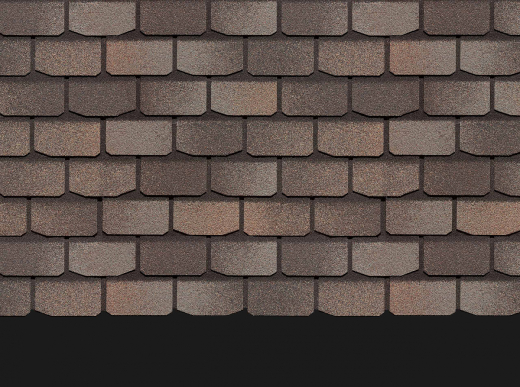 Женева_Вагаси