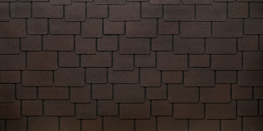 Саппоро_зрелый каштан