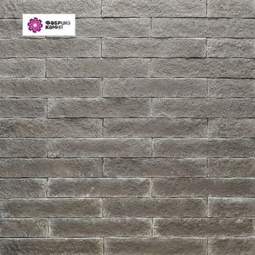 Шиншилла-в-серебре