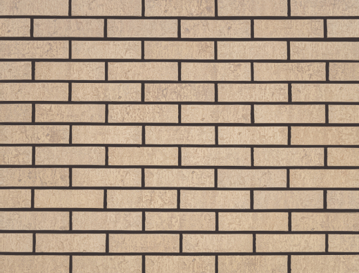 Protey 1 НФ, кладка (1)