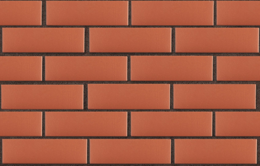 3-temnokorich-krasnyj-gladkij-pustotelyj