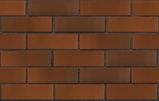 3-temnokorich-krasnyj-flesh-temnyj-glad