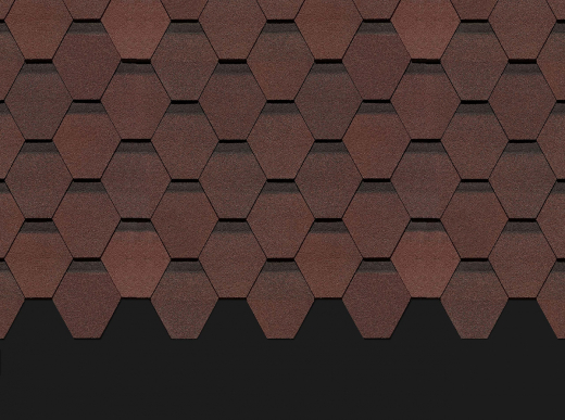 Кёльн_Зрелый каштан