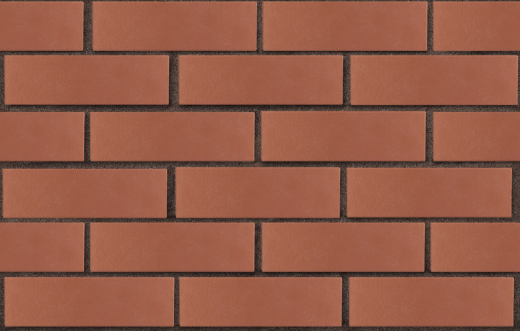 3temnokorich-temnokrasnyj-glad