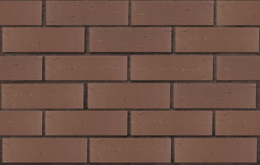 3-temnokorich-temnokorich-rustik