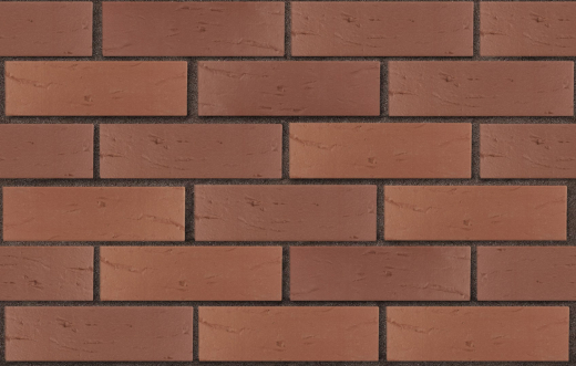 3-temnokorich-korich-rustik