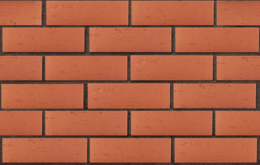 3-temnokorich-krasnyj-rustik