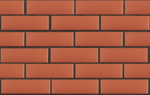 3-temnokorich-krasnyj-gladkij-pustotelyj