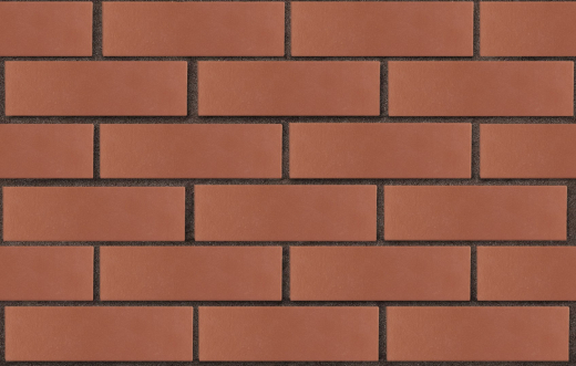 3temnokorich-temnokrasnyj-glad