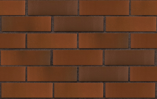 3-temnokorich-krasnyj-flesh-temnyj-glad